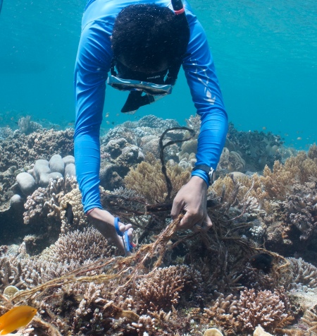Wayan cleaning coral R 2014_DSC0580 copy 4